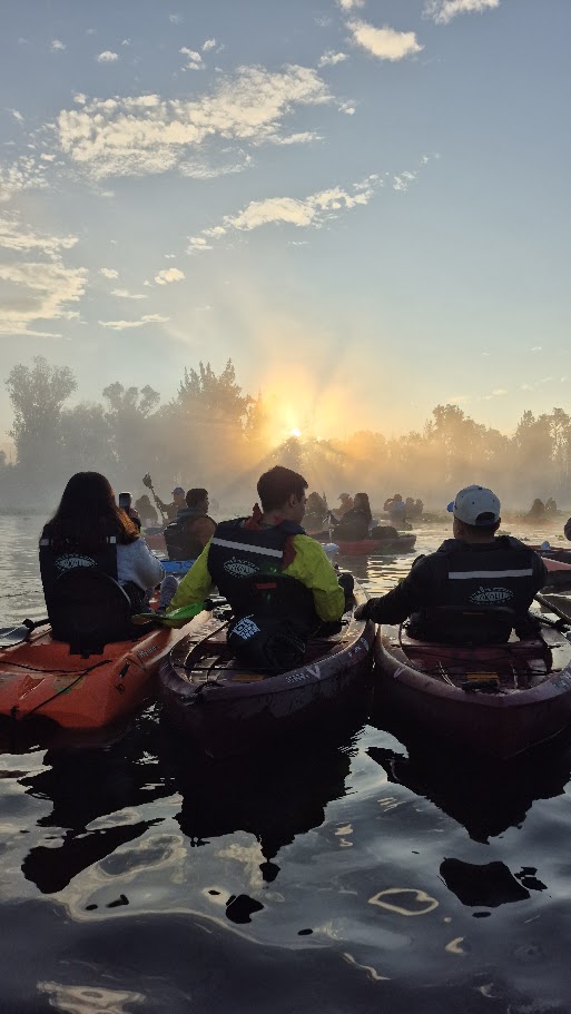 Sunrise paddle energy