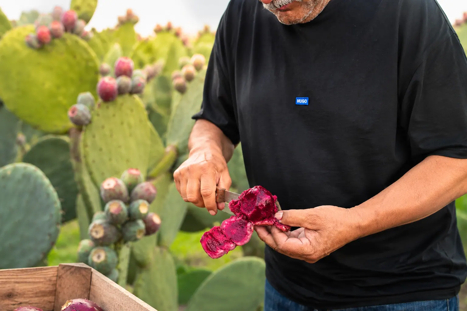 Local fruit stop illustrating a practical Teotihuacan day